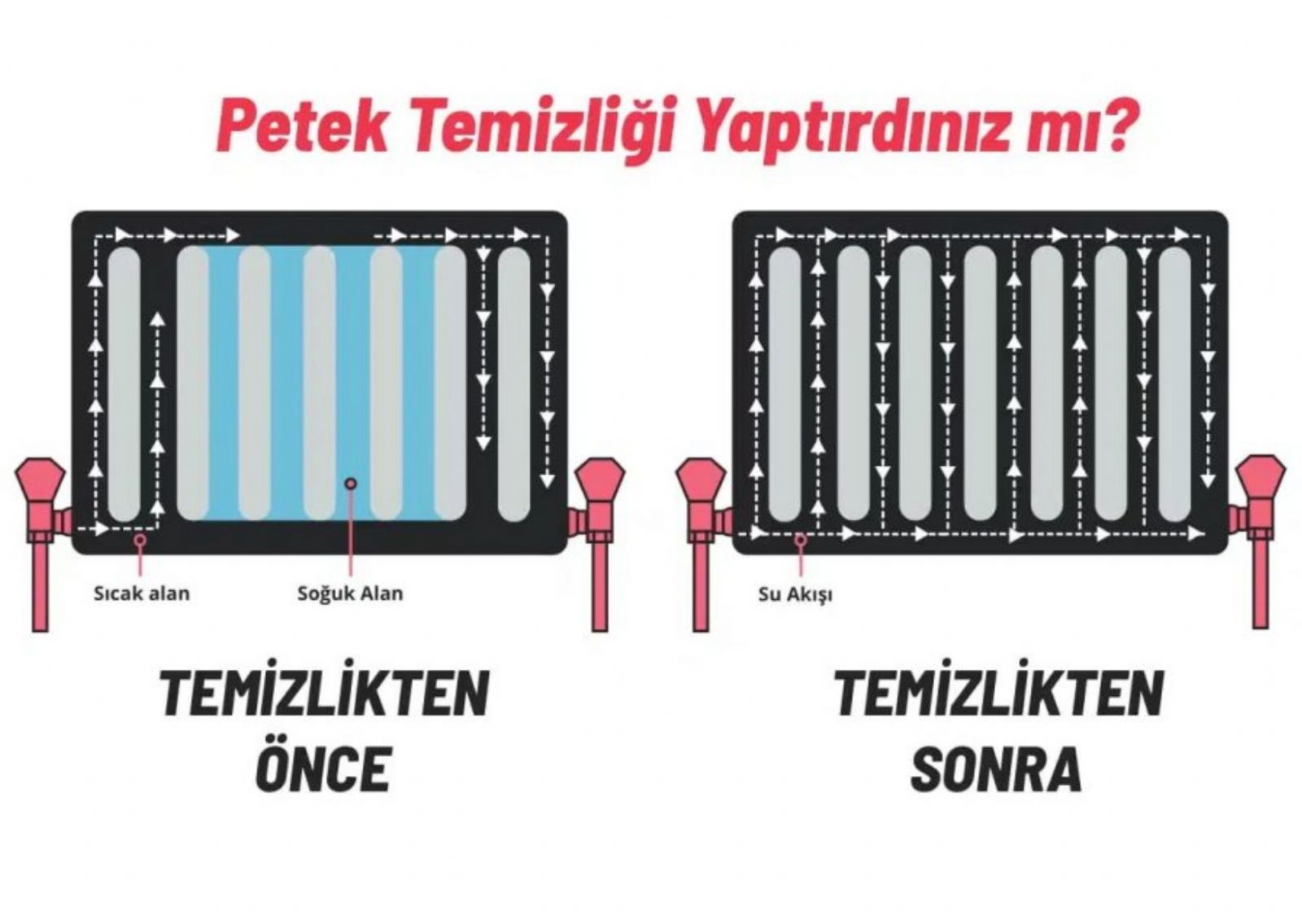Sakarya Petek Temizleme Fiyatları